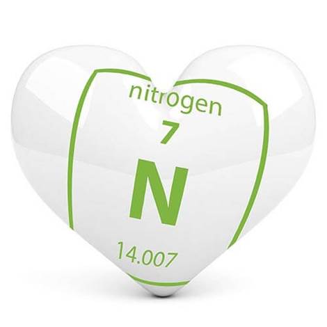 Nitrogen gas heart of you LC-MS Lab